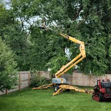 Best Tree Disease Treatment  in Round Lake, IL